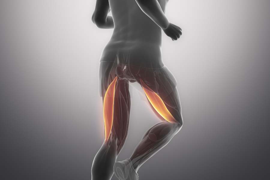 ¿Cómo estirar y fortalecer el bíceps femoral?